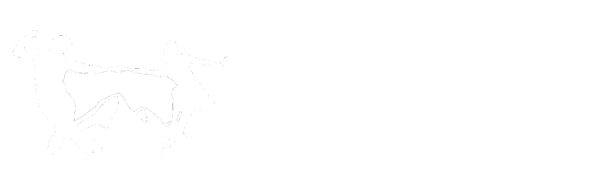 Steamboat Swings